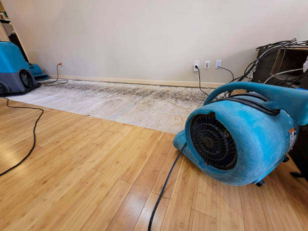 Reliable Storm Water Damage Restoration contractor in Monmouth Junction, NJ by Hirex Water Damage